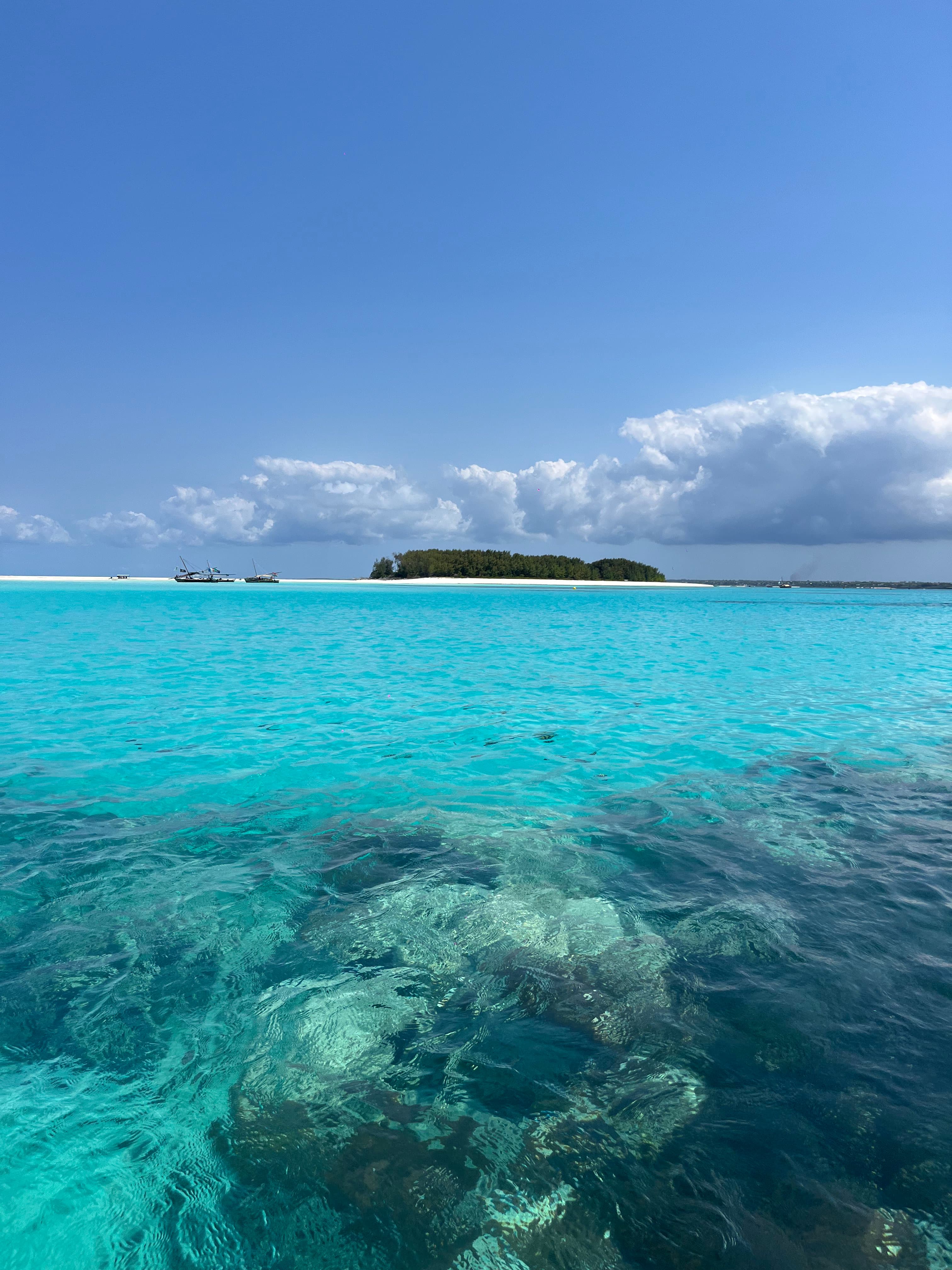 The Rhythm of the Tides