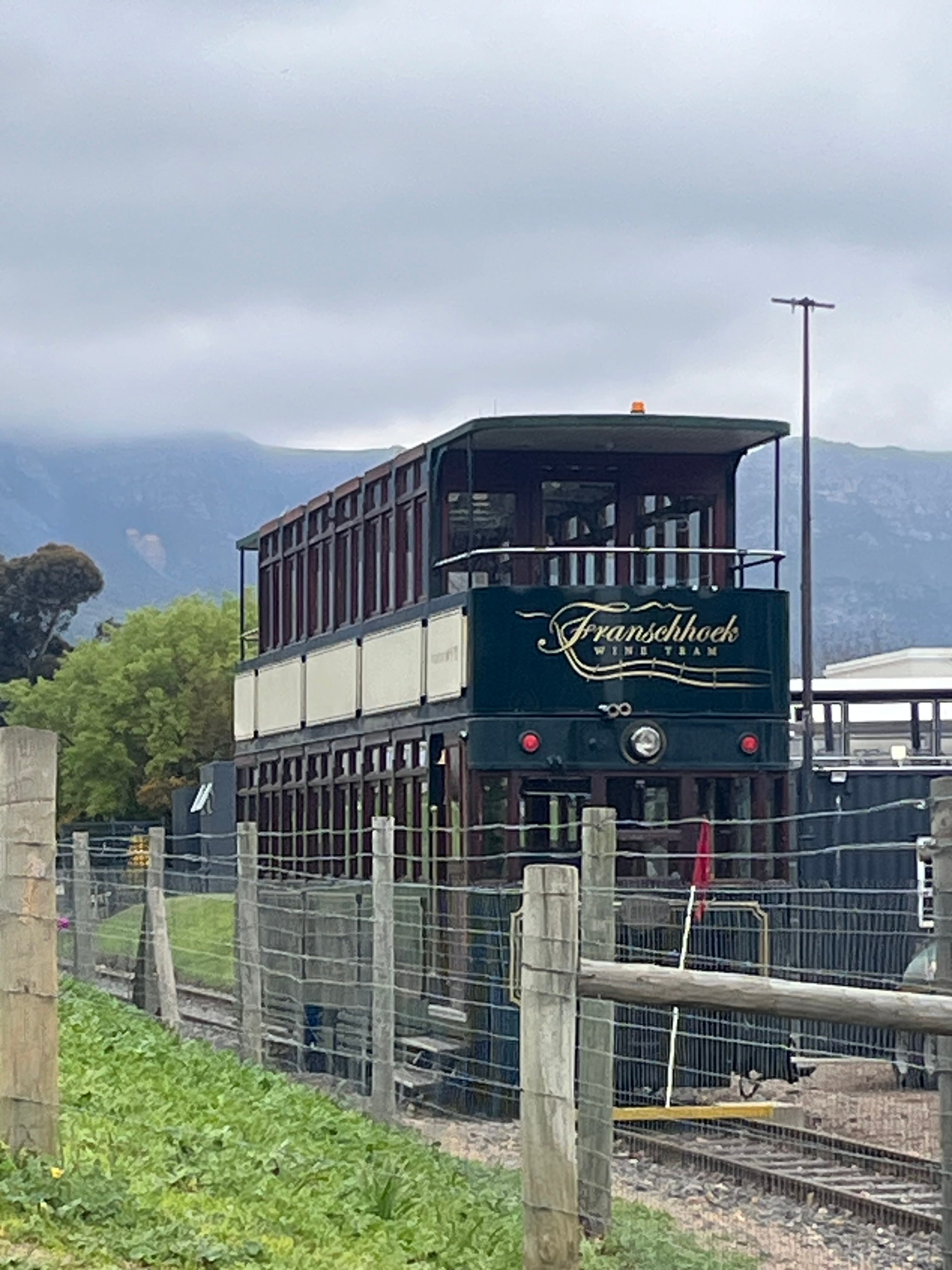 Where Stillness Has a Pulse